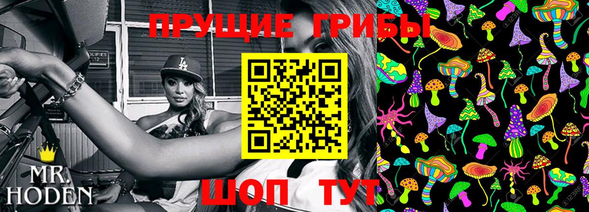 Псилоцибиновые грибы Cubensis Урай
