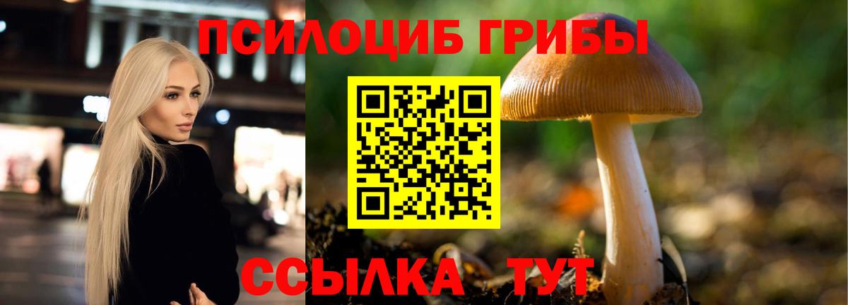 Галлюциногенные грибы Psilocybine cubensis  Псилоцибиновые грибы Psilocybe  Урай  Вход с VPN 